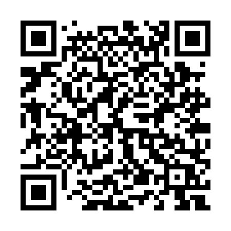 QR code for 453PLP