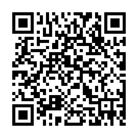 QR code for 453QLT