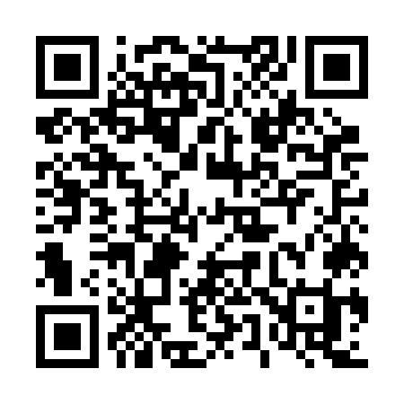 QR code for 455BOI