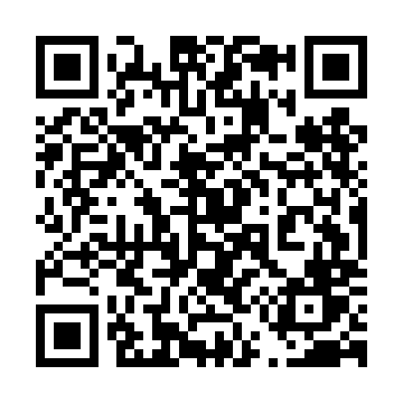 QR code for 455DMV