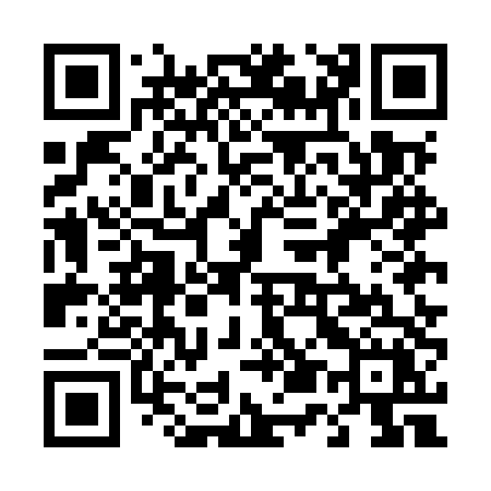 QR code for 455MTX