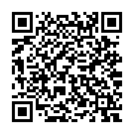 QR code for 456PAX