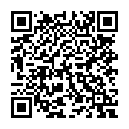 QR code for 458LSI