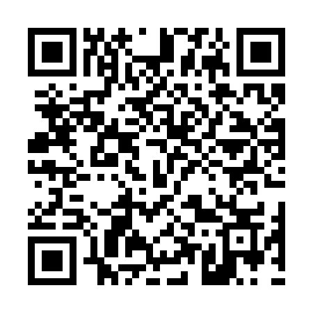 QR code for 458SKS