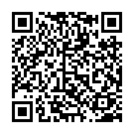 QR code for 460BSP