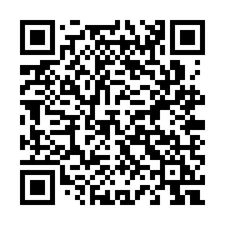 QR code for 460SMI