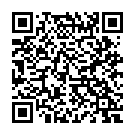QR code for 461BBG
