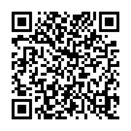QR code for 461FSO