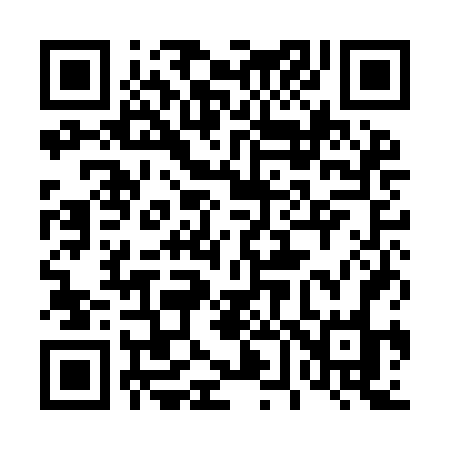 QR code for 461IFO
