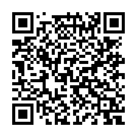 QR code for 461NEP