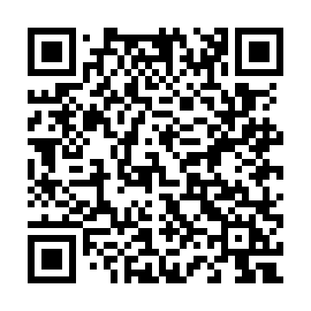 QR code for 461OLH
