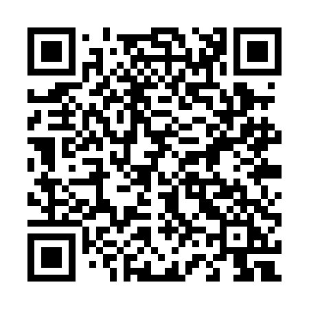 QR code for 461PDI