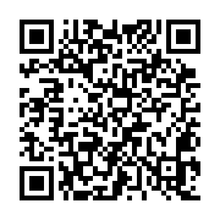 QR code for 461SMK