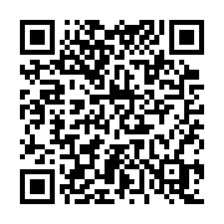 QR code for 461SRF