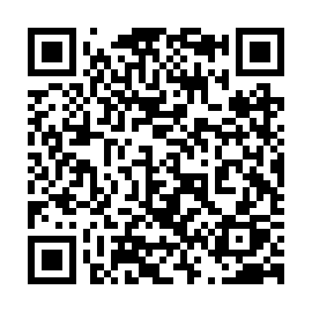 QR code for 462BSP
