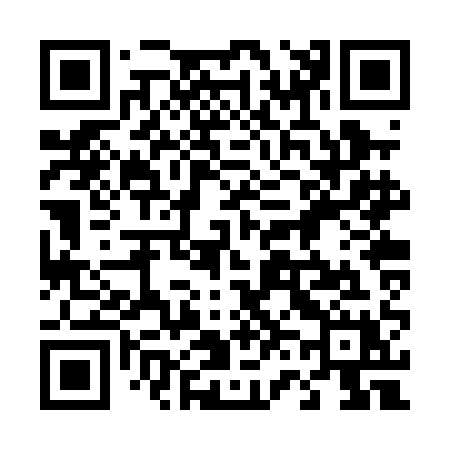 QR code for 462PAX