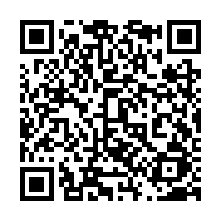 QR code for 463CRJ