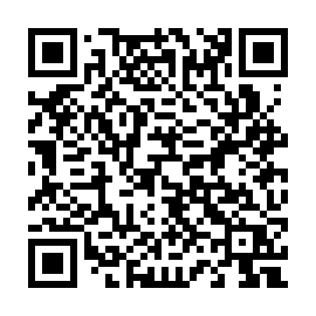 QR code for 463CZP