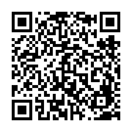 QR code for 463FFF
