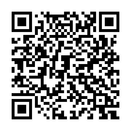 QR code for 463IZB