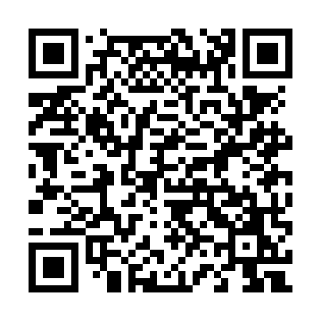 QR code for 463NMO