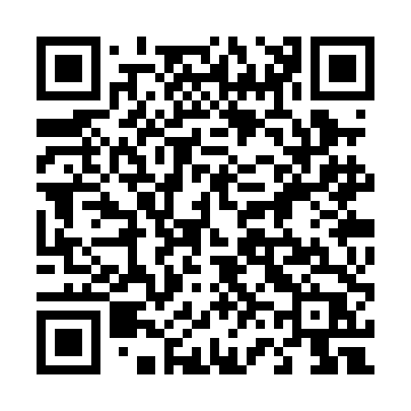QR code for 463PDP
