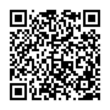 QR code for 463PVV