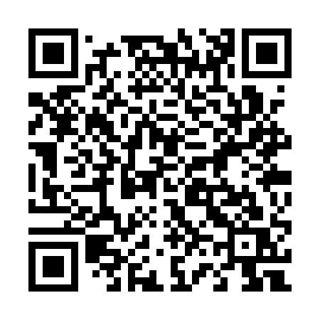 QR code for 463QQS