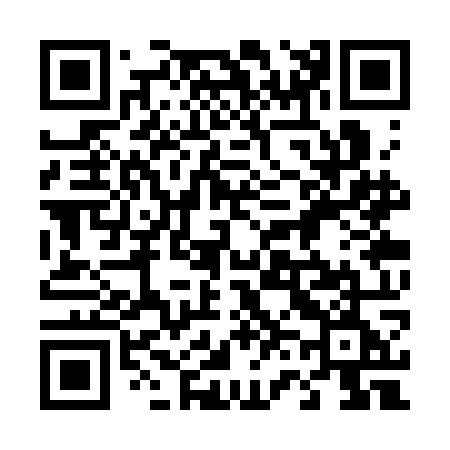 QR code for 463SOE