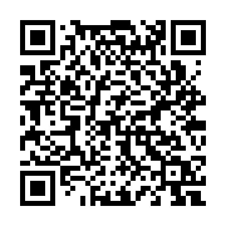 QR code for 463SST