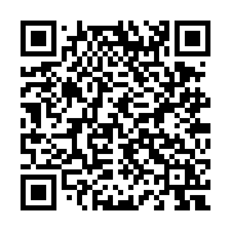 QR code for 463TFX