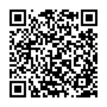 QR code for 463TMG
