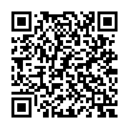 QR code for 463UAH
