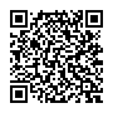 QR code for 463ZED
