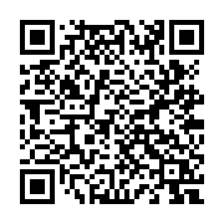 QR code for 463ZER