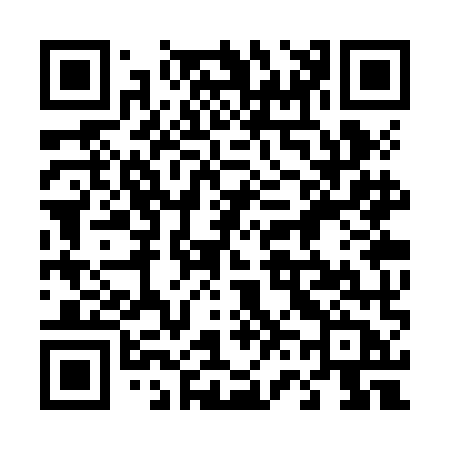 QR code for 463ZMB