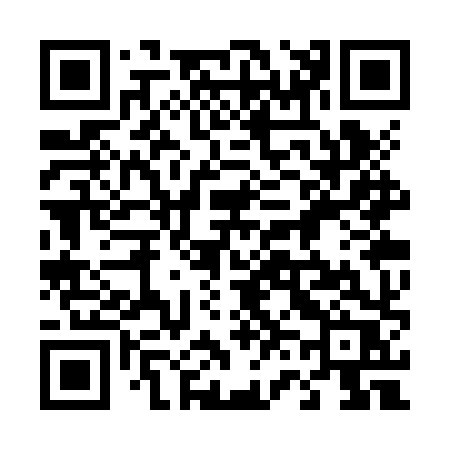 QR code for 463ZXR