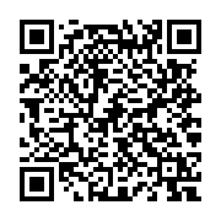 QR code for 466MSX
