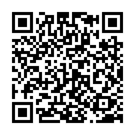 QR code for 486SSX