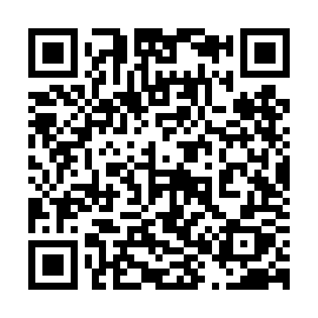 QR code for 486TOX