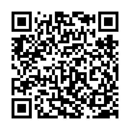 QR code for 489FIS