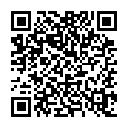 QR code for 489SIM