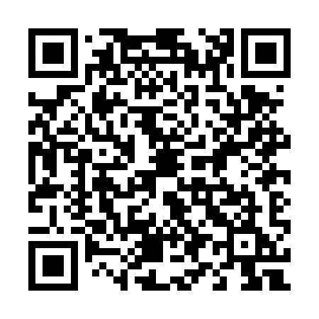 QR code for 490DYE