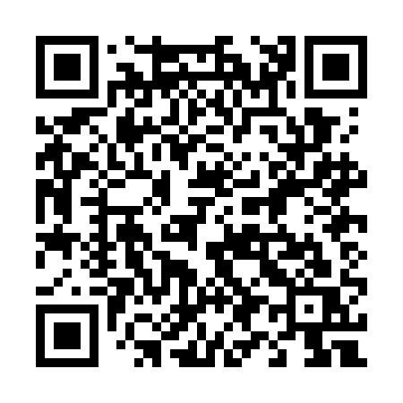 QR code for 490GAS