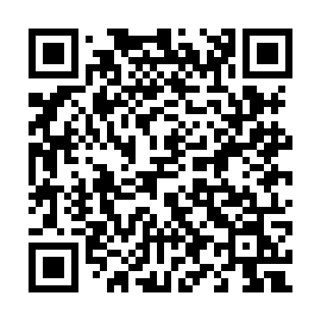 QR code for 491HON