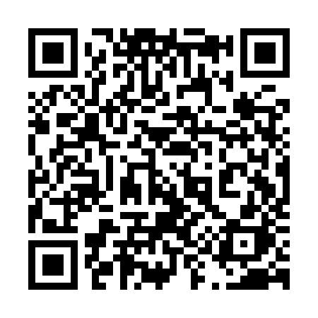 QR code for 491IZH
