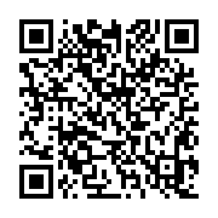 QR code for 491QLK