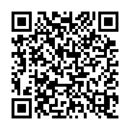 QR code for 491SAI