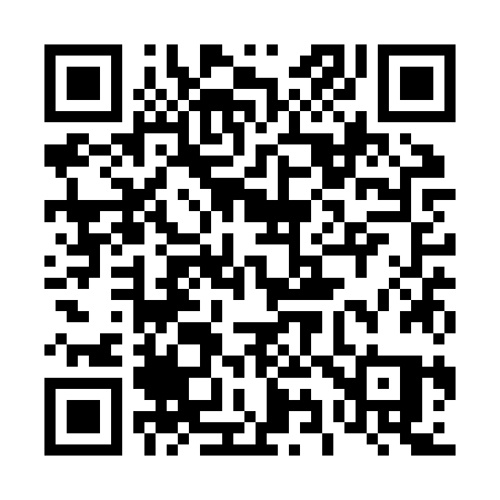 QR code for 491ZZQ