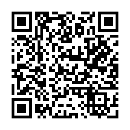 QR code for 493ANS
